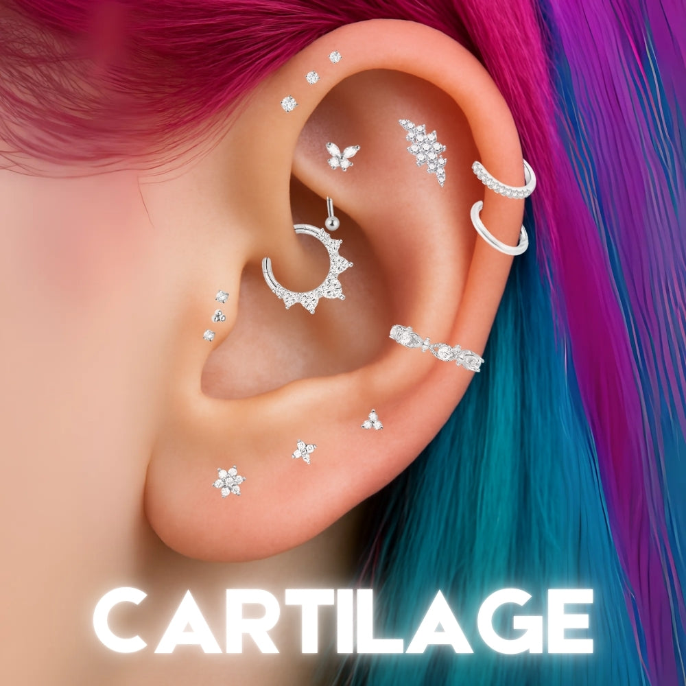 CARTILAGE