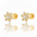 Frozen Crystal Snowflake Ear Piercing Earring Stud Set