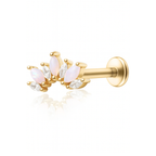 Enigma Opal Crystal Marquise Cluster Ear Piercing Earring Stud